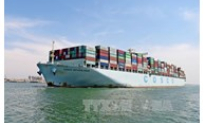 Ai Cập nỗ lực vực dậy nền kinh tế thông qua luật đầu tư mới