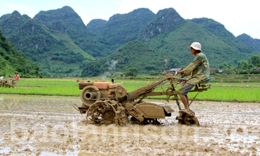 Đẩy mạnh cơ giới hóa trong sản xuất