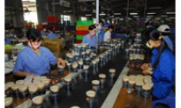 Kinh tế tư nhân là động lực quan trọng của nền kinh tế