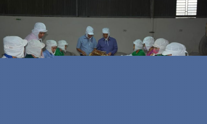 Yên Bái xử phạt 13 cơ sở không bảo đảm vệ sinh an toàn thực phẩm