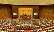 Sửa luật để xây dựng hệ thống tổ chức tín dụng lành mạnh