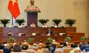 Chính phủ đã rất nỗ lực trong chỉ đạo, điều hành