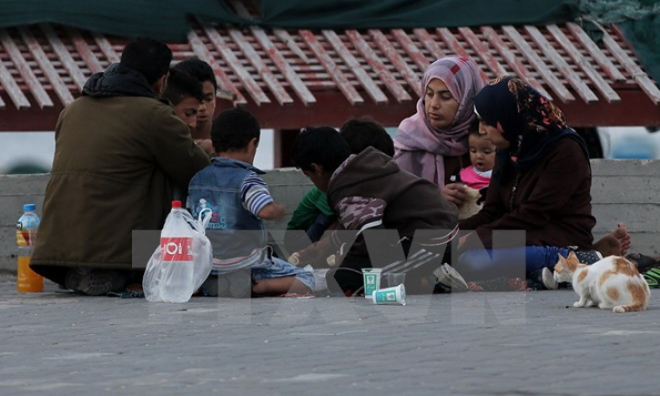 Liên hợp quốc báo động về tình hình nhân đạo tại Dải Gaza