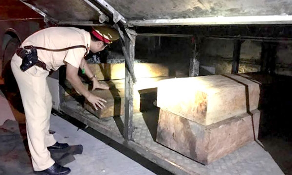 Bắt giữ xe khách giấu gỗ trái phép trong khoang hành lý