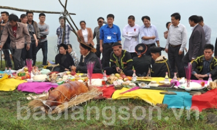 Phục vụ phát triển du lịch