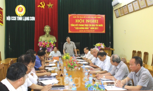Tổng kết phong trào thi đua yêu nước "Cựu chiến binh gương mẫu"