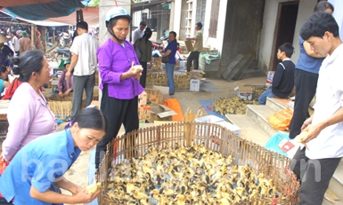 Tập trung cho hạ tầng thương mại nông thôn