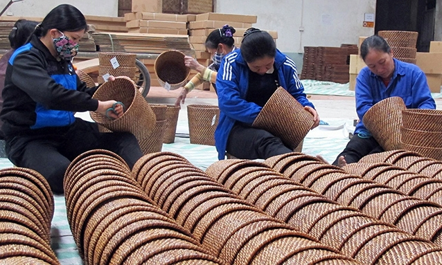 Giao chỉ tiêu phát triển bảo hiểm xã hội cho từng địa phương