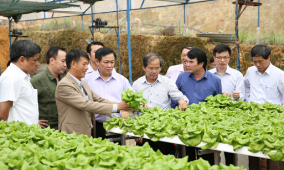 Phát triển nông nghiệp thông minh là xu hướng tất yếu