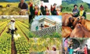Giao kế hoạch thực hiện các chương trình mục tiêu quốc gia