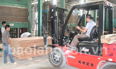 Một năm đột phá phát triển kinh tế