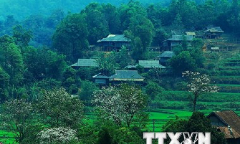 Rộn ràng các hoạt động trong lễ hội &#39;Mùa hoa ban&#39; ở Sơn La