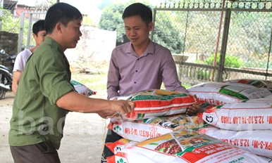 Động lực cho nông dân mở rộng sản xuất