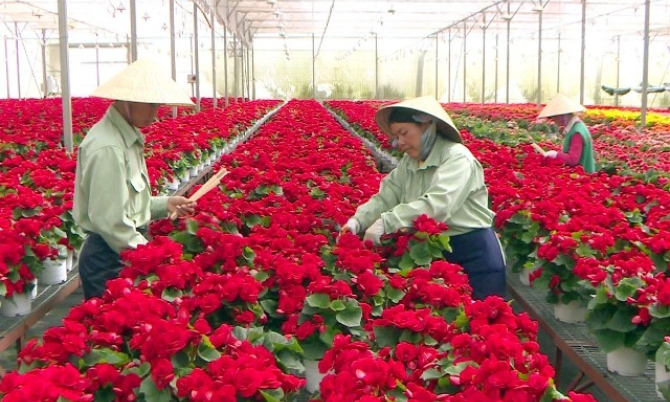 Năng suất lao động nông nghiệp Việt Nam đạt thấp