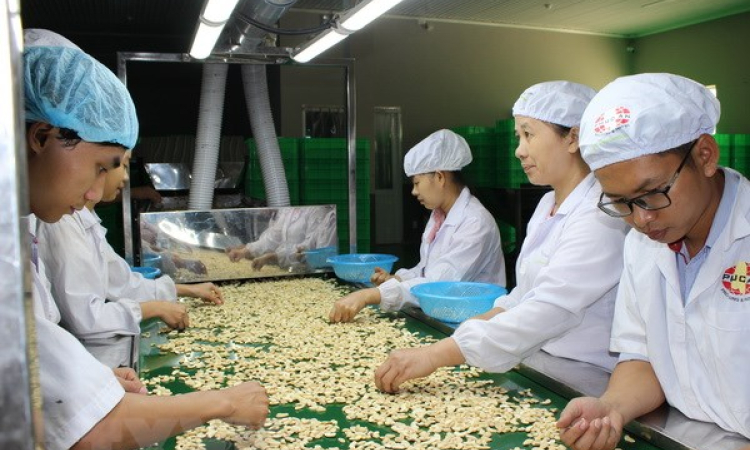 Xuất khẩu nông lâm thủy sản 5 tháng đạt mức 15,6 tỷ USD