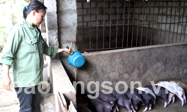 “Cánh cửa” thoát nghèo của người dân