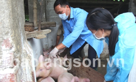 Phòng, chống bệnh đàn vật nuôi mùa nắng nóng