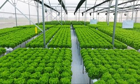 Bãi bỏ một loạt phí, lệ phí trong lĩnh vực nông nghiệp