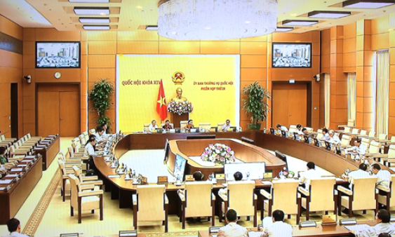 Tạo cơ sở pháp lý vững chắc thúc đẩy phát triển bền vững ngành trồng trọt