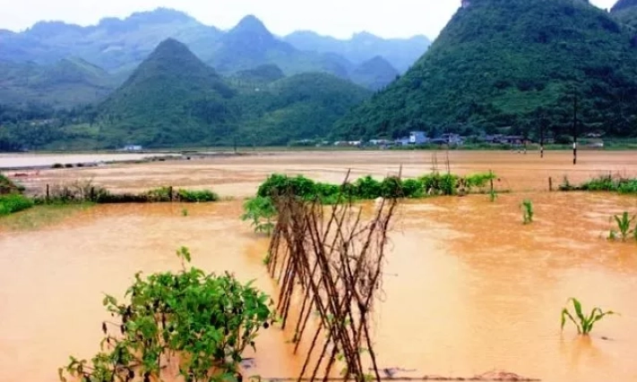 Mưa lũ cuốn trôi xe tải, làm hư hỏng 21 nhà dân ở Lào Cai