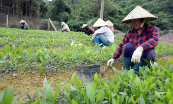 Khó khăn trong thực hiện chính sách khuyến khích đầu tư vào lĩnh vực nông nghiệp