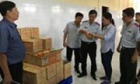 Thanh tra hoạt động dược, mỹ phẩm, an toàn thực phẩm tại 18 tỉnh thành