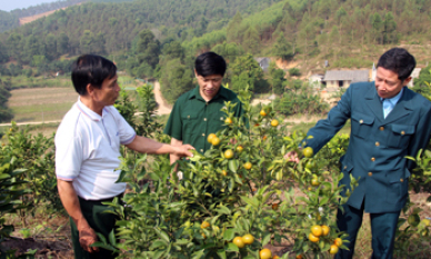 Hội Cựu chiến binh tỉnh: Sáng mãi phẩm chất “Bộ đội Cụ Hồ”