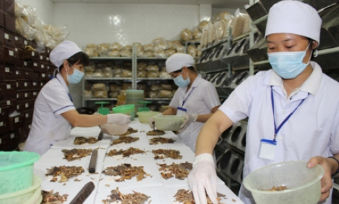 Đẩy mạnh tự chủ và hợp tác đào tạo quốc tế về y học cổ truyền