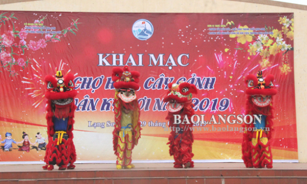 Khai mạc Chợ hoa, cây cảnh Xuân Kỷ Hợi 2019