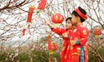 Thời tiết dịp Tết Nguyên đán