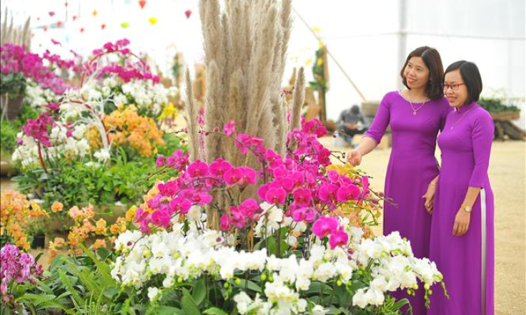 Chùa Bái Đính mở cửa đón khách tham quan thung lũng hoa rộng 15 ha