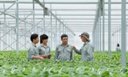 Hà Nội muốn hợp tác với Quỹ châu Á về sản xuất nông nghiệp đô thị