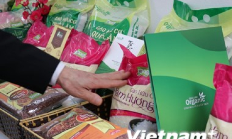 Những ‘nút thắt’ khiến nông nghiệp Việt chưa thể cất cánh