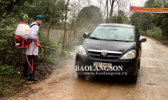 Lạng Sơn: Lập 8 chốt kiểm dịch, kiểm soát bệnh dịch tả lợn châu Phi