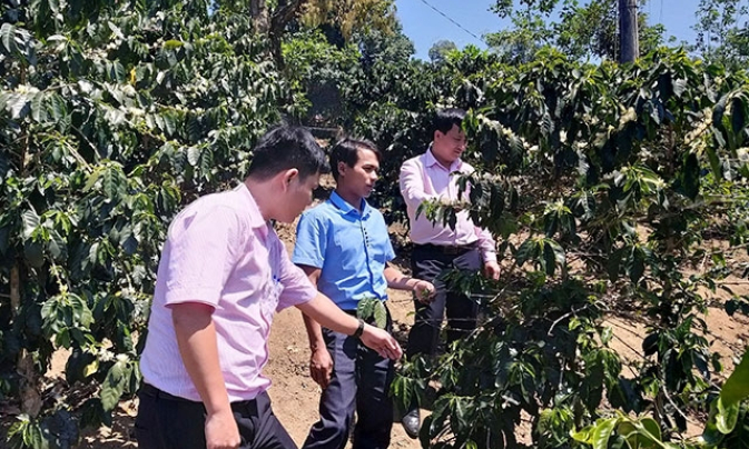 Hiệu ứng nâng mức cho vay vốn tại huyện nghèo