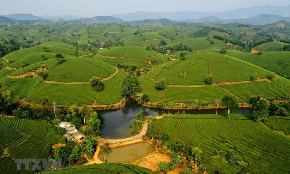Khai thác du lịch nông nghiệp - dòng sản phẩm chủ đạo của Việt Nam