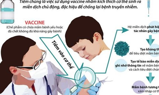 Tiêm chủng vắcxin để chủ động chống lại các bệnh truyền nhiễm