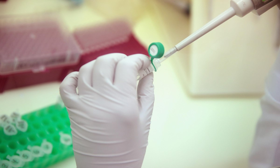 Brazil phát hiện vắcxin chống sốt vàng hữu dụng với Zika