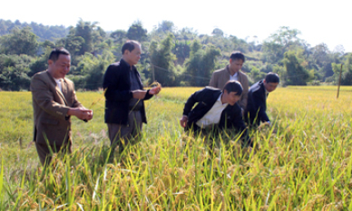 Bước chuyển trong phát triển kinh tế tập thể