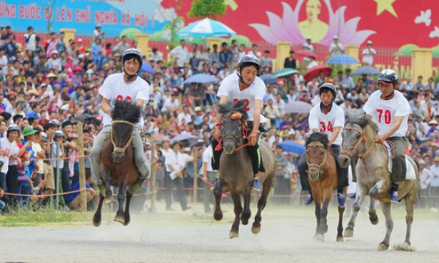 Festival "Vó ngựa cao nguyên trắng Bắc Hà"