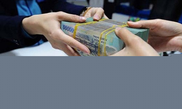 Hỗ trợ khách hàng vay vốn bị thiệt hại do ảnh hưởng của dịch tả lợn Châu Phi
