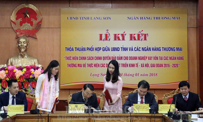 Quan hệ tín dụng ngân hàng – doanh nghiệp: Chủ động phối hợp từ hai phía