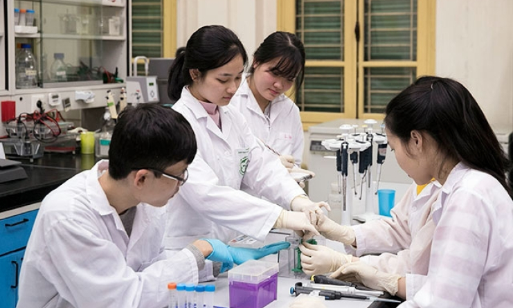 Quy hoạch, sắp xếp lại hệ thống cơ sở đào tạo