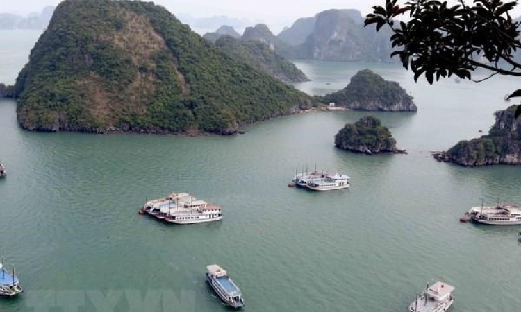 Quảng Ninh chấn chỉnh vi phạm trong lĩnh vực dịch vụ du lịch