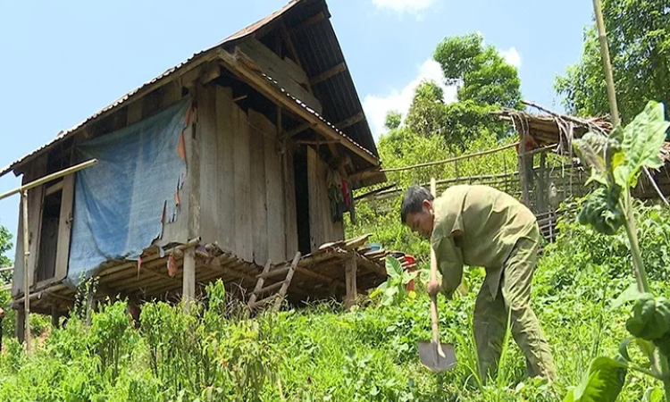 Sớm giải quyết tình trạng di dân tự do ở Mai Châu