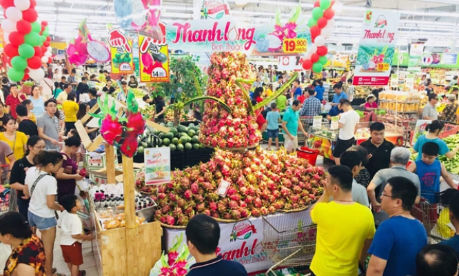 Quảng bá, tiêu thụ 500 tấn thanh long Bình Thuận