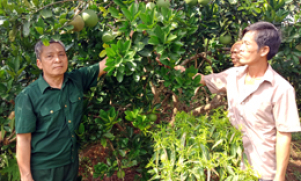 Bí thư chi bộ gương mẫu