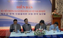 Thúc đẩy xuất khẩu nông sản Việt sang thị trường Hàn Quốc