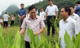 Xây dựng nông thôn mới: Bứt phá ở xã vùng khó