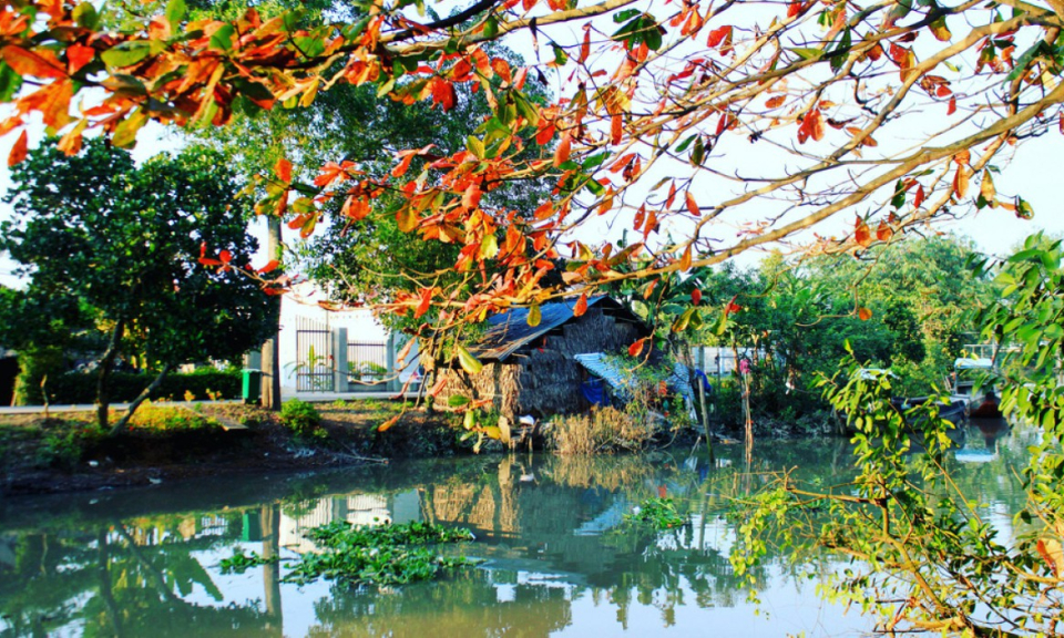 Tiền Giang: Tổ chức Lễ hội Văn hóa, Du lịch Làng cổ Đông Hòa Hiệp